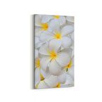 Olla 11633DD Çiçek Görseli Dikey Dar Kanvas Tablo (Ölçü: 30X60)