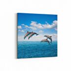 Olla 12912K Deniz / Okyanus Görseli Kare Kanvas Tablo (Ölçü: 25X25)