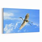 Olla 15841Y Gökyüzü Kuşlar Görseli Yatay Kanvas Tablo (Ölçü: 30X20)