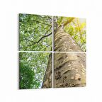 Olla 10485K4 Ağaç Görseli Kare 4'lü Kanvas Tablo (Ölçü: 105X105)