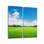 Olla 14143K4 Doğa / Manzara Görseli Kare 4'lü Kanvas Tablo (Ölçü: 145X145)