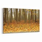 Olla 14449Y Doğa / Manzara Görseli Yatay Kanvas Tablo (Ölçü: 150X100)