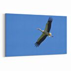 Olla 15863Y Gökyüzü Kuşlar Görseli Yatay Kanvas Tablo (Ölçü: 30X20)