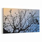 Olla 10742Y Ağaç Görseli Yatay Kanvas Tablo (Ölçü: 45X30)