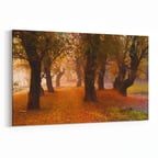 Olla 14584Y Doğa / Manzara Görseli Yatay Kanvas Tablo (Ölçü: 30X20)