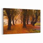 Olla 14584Y Doğa / Manzara Görseli Yatay Kanvas Tablo (Ölçü: 70X50)