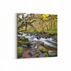 Olla 13170K Doğa / Manzara Görseli Kare Kanvas Tablo (Ölçü: 25X25)