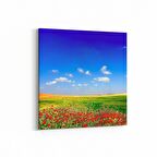 Olla 13930K Doğa / Manzara Görseli Kare Kanvas Tablo (Ölçü: 25X25)