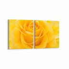 Olla 11648K2Y Çiçek Görseli Kare 2'li Yatay Kanvas Tablo (Ölçü: 125X60)
