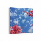 Olla 10940K Ağaç Görseli Kare Kanvas Tablo (Ölçü: 25X25)