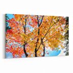 Olla 11008Y Ağaç Görseli Yatay Kanvas Tablo (Ölçü: 120X80)