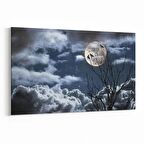 Olla 14828Y Gece Gökyüzü Görseli Yatay Kanvas Tablo (Ölçü: 30X20)