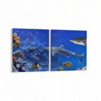 Olla 12143K2Y Akvaryum / Balık Görseli Kare 2'li Yatay Kanvas Tablo (Ölçü: 125X60)