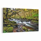 Olla 13170Y Doğa / Manzara Görseli Yatay Kanvas Tablo (Ölçü: 120X80)