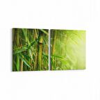 Olla 14620K2Y Doğa / Manzara Görseli Kare 2'li Yatay Kanvas Tablo (Ölçü: 65X30)