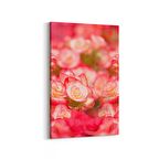 Olla 11635D Çiçek Görseli Dikey Kanvas Tablo (Ölçü: 80X120)