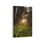 Olla 14005D Doğa / Manzara Görseli Dikey Kanvas Tablo (Ölçü: 70X105)