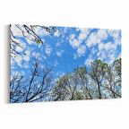 Olla 10803Y Ağaç Görseli Yatay Kanvas Tablo (Ölçü: 70X50)