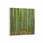 Olla 13866K Doğa / Manzara Görseli Kare Kanvas Tablo (Ölçü: 25X25)