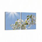 Olla 10765K2Y Ağaç Görseli Kare 2'li Yatay Kanvas Tablo (Ölçü: 145X70)