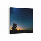 Olla 13731K Doğa / Manzara Görseli Kare Kanvas Tablo (Ölçü: 30X30)