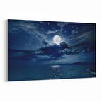 Olla 14690Y Gece Gökyüzü Görseli Yatay Kanvas Tablo (Ölçü: 150X100)