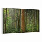 Olla 13911Y Doğa / Manzara Görseli Yatay Kanvas Tablo (Ölçü: 150X100)