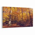 Olla 13551Y Doğa / Manzara Görseli Yatay Kanvas Tablo (Ölçü: 90X60)