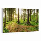 Olla 14535Y Doğa / Manzara Görseli Yatay Kanvas Tablo (Ölçü: 90X60)