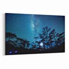 Olla 14712Y Gece Gökyüzü Görseli Yatay Kanvas Tablo (Ölçü: 30X20)