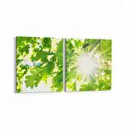 Olla 10568K2Y Ağaç Görseli Kare 2'li Yatay Kanvas Tablo (Ölçü: 85X40)