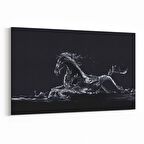 Olla 12547Y Hayvanlar Alemi Görseli Yatay Kanvas Tablo (Ölçü: 90X60)