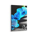 Olla 17081D Spa / Masaj Görseli Dikey Kanvas Tablo (Ölçü: 60X90)