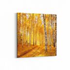 Olla 14572K Doğa / Manzara Görseli Kare Kanvas Tablo (Ölçü: 60X60)