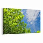 Olla 10975Y Ağaç Görseli Yatay Kanvas Tablo (Ölçü: 150X100)