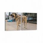 Olla 12617K2Y Hayvanlar Alemi Görseli Kare 2'li Yatay Kanvas Tablo (Ölçü: 145X70)