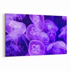 Olla 12872Y Deniz / Okyanus Görseli Yatay Kanvas Tablo (Ölçü: 30X20)