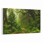 Olla 13455Y Doğa / Manzara Görseli Yatay Kanvas Tablo (Ölçü: 70X50)