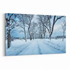 Olla 14148Y Doğa / Manzara Görseli Yatay Kanvas Tablo (Ölçü: 150X100)