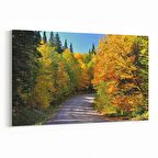 Olla 14015Y Doğa / Manzara Görseli Yatay Kanvas Tablo (Ölçü: 120X80)