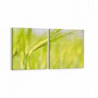 Olla 14327K2Y Doğa / Manzara Görseli Kare 2'li Yatay Kanvas Tablo (Ölçü: 85X40)