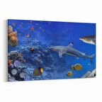 Olla 12143Y Akvaryum / Balık Görseli Yatay Kanvas Tablo (Ölçü: 90X60)