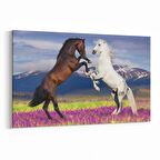 Olla 12608Y Hayvanlar Alemi Görseli Yatay Kanvas Tablo (Ölçü: 30X20)