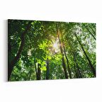 Olla 13710Y Doğa / Manzara Görseli Yatay Kanvas Tablo (Ölçü: 150X100)