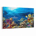 Olla 12158Y Akvaryum / Balık Görseli Yatay Kanvas Tablo (Ölçü: 120X80)