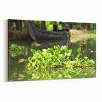 Olla 13340Y Doğa / Manzara Görseli Yatay Kanvas Tablo (Ölçü: 90X60)