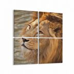 Olla 12563K4 Hayvanlar Alemi Görseli Kare 4'lü Kanvas Tablo (Ölçü: 145X145)