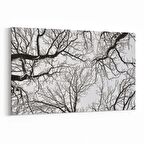Olla 10521Y Ağaç Görseli Yatay Kanvas Tablo (Ölçü: 45X30)