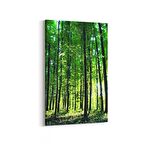 Olla 13364D Doğa / Manzara Görseli Dikey Kanvas Tablo (Ölçü: 60X90)