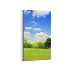 Olla 14590DD Doğa / Manzara Görseli Dikey Dar Kanvas Tablo (Ölçü: 40X80)